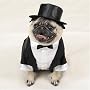 Casual Canine Dog Tuxedo - Dog Costume - Large