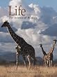 Life, the Science of Biology (with CD-ROM) 6th ed