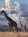 Life, the Science of Biology (with CD-ROM) 6th ed