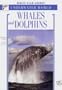 Whales and Dolphins (White Star Guides)