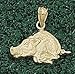 Anderson Jewelry Arkansas Razorbacks Gold Hog Charm