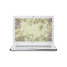 Sony VAIO VGN-CR420E/W