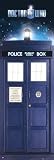 Doctor Who Tardis Door Poster 53x158cm