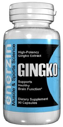 GINGKO - 90 Capsules 60mg Ginkgo Biloba Supports Healthy Brain and Memory Function