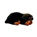 Perfect Petzzz Rottweiler