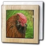 Florene Animals - Bantam Hen - Tile Napkin Holders