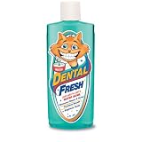 Synergy Dental Fresh Cat, 8 Ounce