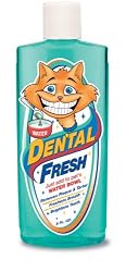 Synergy Dental Fresh Cat, 8 Ounce