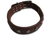 LOVEPET Amazing Fashion Royal Golden Studded Leather Collar, 1.2' X 26'