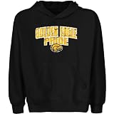 NCAA Southern Miss Golden Eagles Youth State Pride Pullover Hoodie - Black