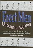Erect Men Undulating Women: The Visual Imagery of Gender, 