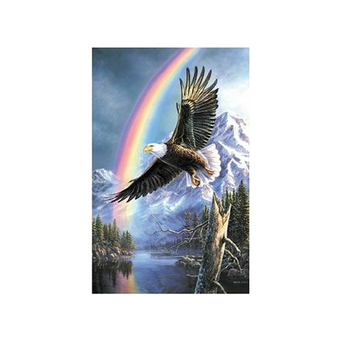 Buy Sunsout Eagle Of Promise 1000 Piece Jigsaw PuzzleB0006442UO Filter