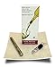 Glacier du Vin Wine Chiller Aerator and Pourer