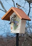 New Droll Yankees Inc 10in. Flower Illustration Nest Box Set Of 2 Designed For Cavity Nesting Birds