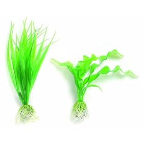 41EFKzE55QL. SL500 AA280  biOrb Easy Plant   2 Pack Small