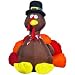 Airblown Indoor Turkey