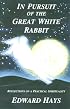 In Pursuit of the Great White Rabbit: Reflections on a Practical Spirituality