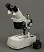 Binocular Stereo Microscope 20x-40x-80x w Dual LED Lights