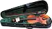 Doreli Model 79 Violin Outfit, 1/2