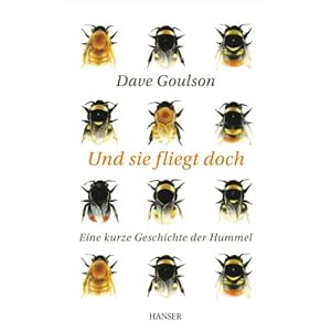 Und sie fliegt doch: Eine kurze Geschichte der Hummel