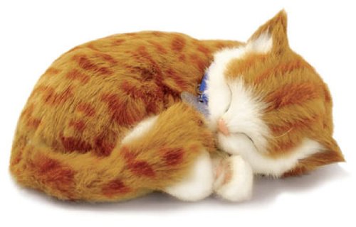 Childrens Toyshop  Toys : Perfect Petzzz Orange Tabby
