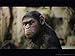 Planet of the Apes Saga: The Poster Collection (Insights Poster Collections)