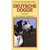 Deutsche Dogge: Was man �ber sie wissen sollte