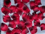 Produkt-Bild: 500 textile Rosenbl&auml;tter, rot, hochwertig