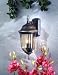 Minka Lavery Lights 8751-161 Medium Wall Mount Light - Mossoro Walnut Outdoor Lighting