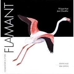Flamant