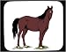Decorated Mouse Pad with mane, horse, equine