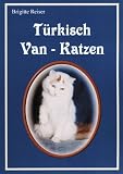 Türkisch Van - Katzen