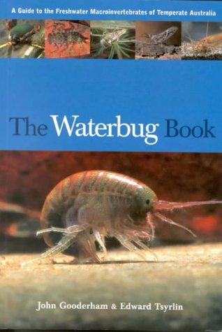 Invertebrates