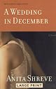 A Wedding in December