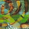 Image of album by Mercury Rev