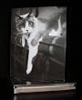 Talk to the Paw! Greeting Cards - Give blood