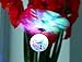 Taousa 70094 Remote Control Mini Flying Ball Crystal Flyer Shining Gift Ball