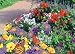 Garden Butterfly Mat - Instant Flower Garden - (Easy & Hassle Free!) - A great gift idea for the home or family yard!