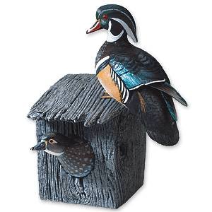 Nesting Wood Duck Pair with House