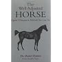 The Well Adjusted Horse