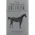 The Well Adjusted Horse