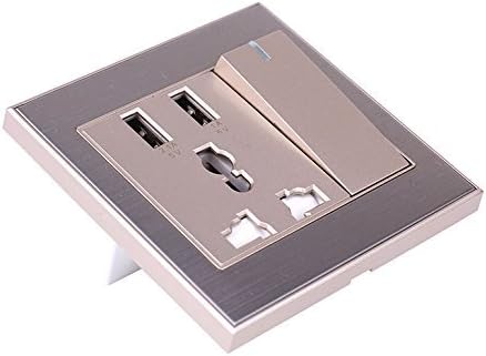 RNAI Universal USB Wall Outlet Charger Dual USB Ports Wall Socket Charger Outlet Face Plate Panel with switch and LED indicator (Gold)