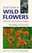 Field Guide to Wild Flowers of Britain and Northern Europe (Field guide)