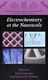 Electrochemistry at the Nanoscale (Nanostructure Science and Technology)