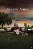 Vampire Diaries - Love Sucks - Poster (22x34)