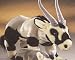 Plush Gemsbok 14