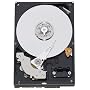 Western Digital RE2 Enterprise 160 GB Bulk/OEM Hard Drive 3.5 Inch, 16 MB Cache, 7200 RPM SATA II WD1601AYYS