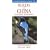 Birds of China Including Hong Kong (Photographic Guide to...)