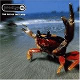 The Fat of the Land - the Prodigy