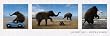 Life's a Beach (Elephants on the Beach) Art Poster Print - 12x36